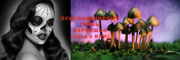 стаф Артём