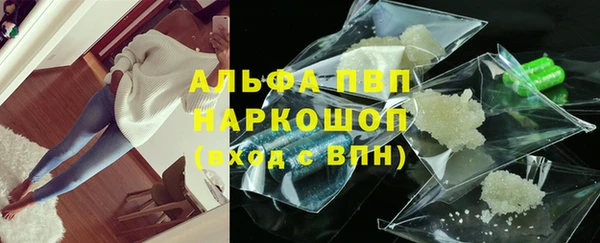 стаф Артём