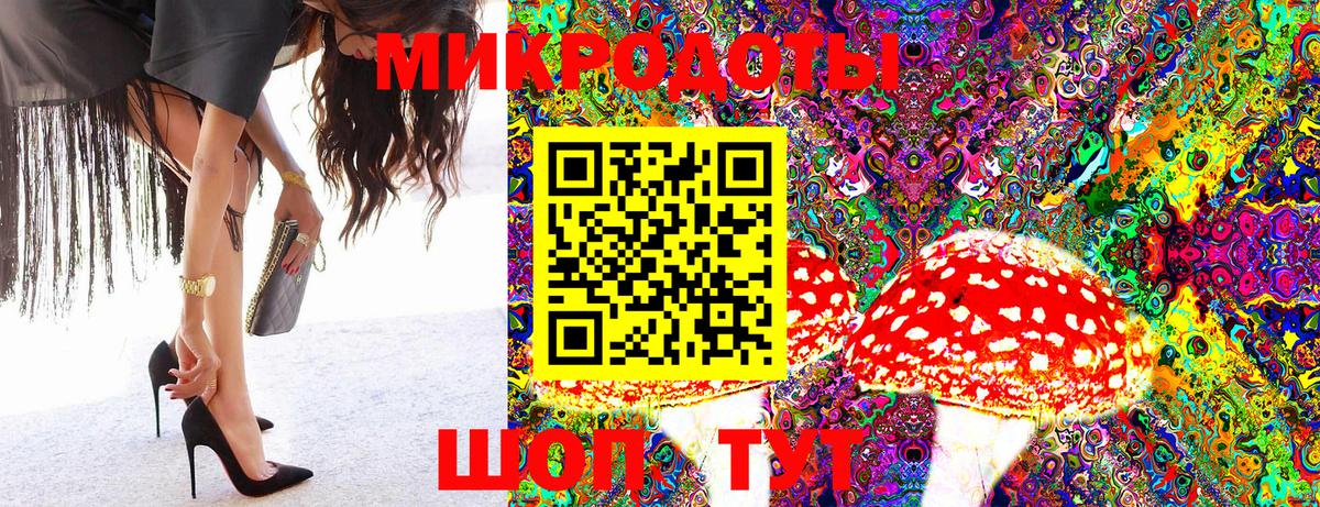 купить наркотики цена  Апшеронск  Псилоцибиновые грибы Cubensis 