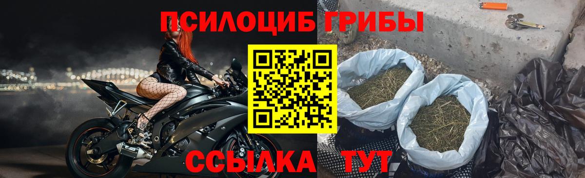 Псилоцибиновые грибы Magic Shrooms  Псилоцибиновые грибы прущие грибы  Вход с VPN  Апшеронск 