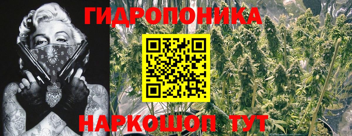 Бошки марихуана планчик  Вход с VPN  Апшеронск  Бошки марихуана ГИДРОПОН  Шишки марихуана ГИДРОПОН  МАРИХУАНА семена 